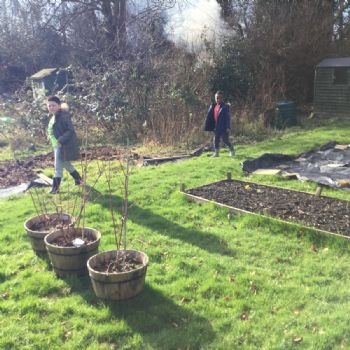 Allotment (9)